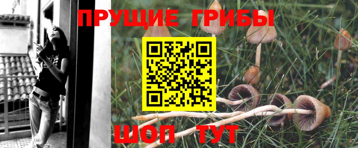 Владивосток  Галлюциногенные грибы ЛСД  Вход с VPN  Галлюциногенные грибы Psilocybine cubensis 