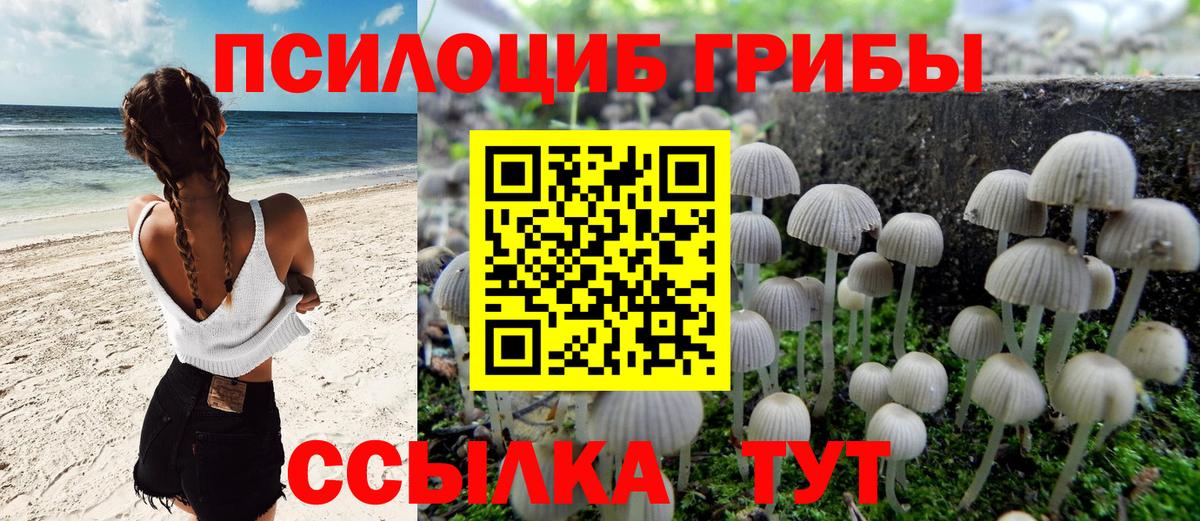 Галлюциногенные грибы Cubensis Владивосток
